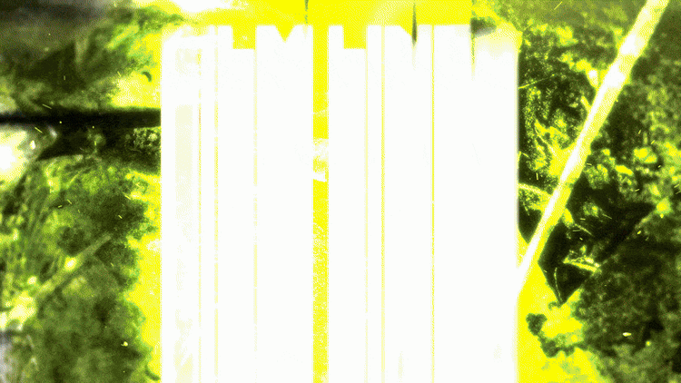 FILM ACCENT LINES TINY TAPES