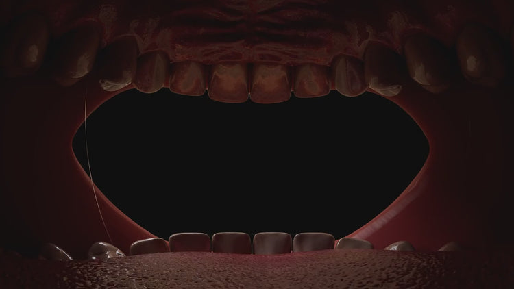 Mouth 3D overlay