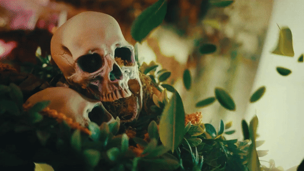 3D NATURE FX TINY TAPES